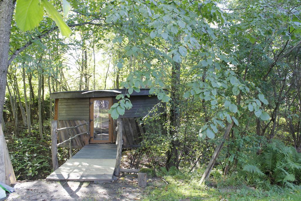 Round House Apartment Sigulda Cameră foto